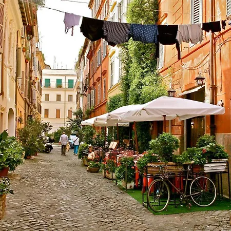 Magenta Collection Del Grande * Roma